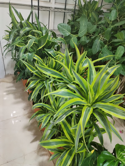 مشتل ينبع جرين ينبع - Saudi Arabia|Yanbu 46424|Al Rabwa|حي
