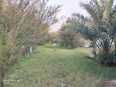 مزرعة الاصمعي - صفوى - +966 56 670 9980
