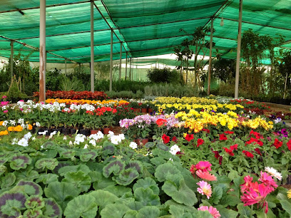 حضانة القمرة - الزلفي - +966 54 124 2555