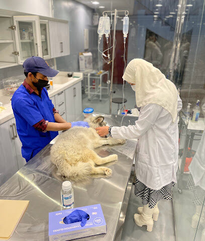 عيادة جودة الحياة البيطريه - الرياض - +966 55 546 4456