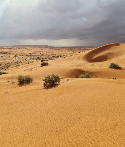 الحاذية - الزلفي -