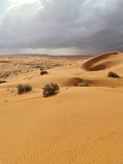 الحاذية - Saudi Arabia|Az Zulfi|Unnamed Road|8PMW+Q6R