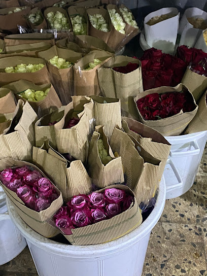 إتاء الزراعية الخبر - Al Khobar 34441