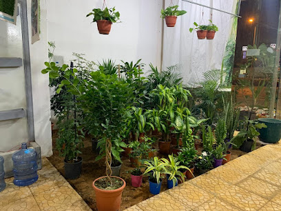 الغابة الجميلة - مشتل الغابة الجميلة - الرياض - +966 55 021 1112