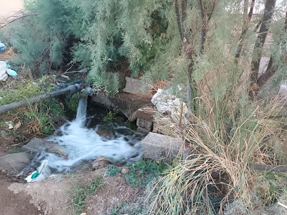 مزرعة الإشراف ذوي زيد - الطائف - +966 53 531 6324