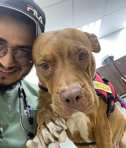 عيادة كفوف الرحمه البيطرية Mercy Paws Pets Clinic - الدمام - +966 57 667 0148