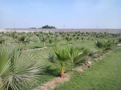 الزهره الخضراء - الخفجي - +966 53 242 9718