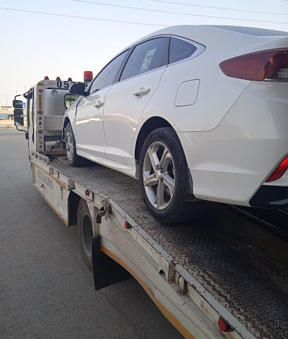 صيدلية الهندي البيطريه - حفر الباطن - +966 50 594 6897