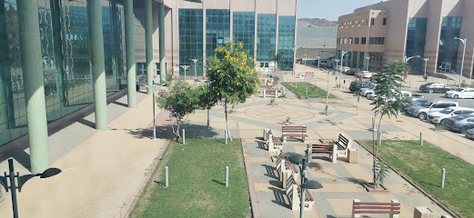 المدينة الجامعية -  -
