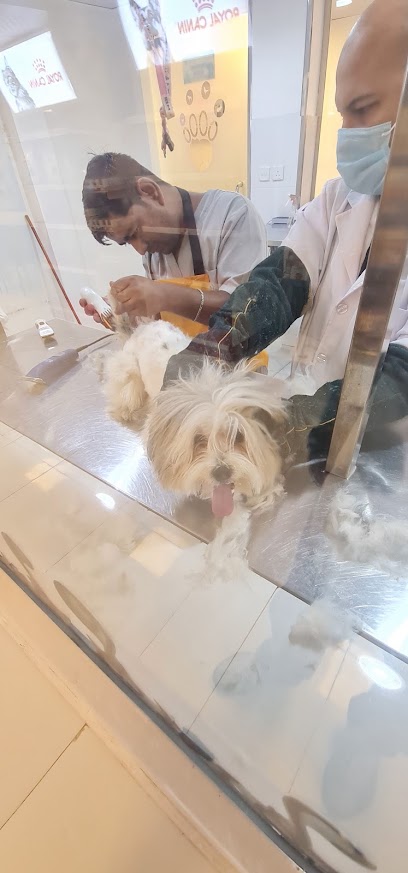 عيادة الكفوف اللينة - Saudi Arabia|Jeddah 23535|7676|5323 Prince Majid Rd