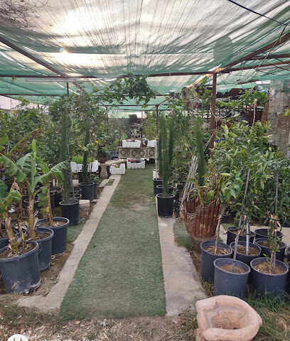 مشاتل الآفاق الشاهقة - بيشة - +966 53 229 8310