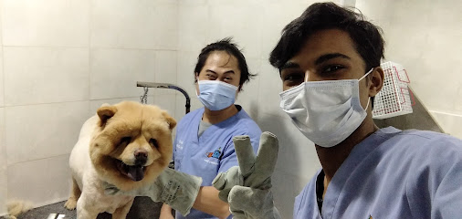 OKA Vet Clinic الخبر - الخبر - +966 13 867 6479