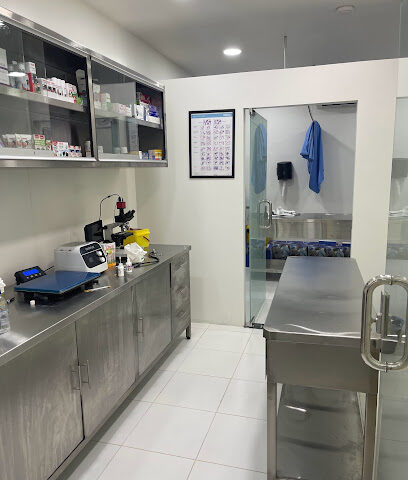 عيادة الرعاية الأساسية - الظهران - +966 53 109 8119