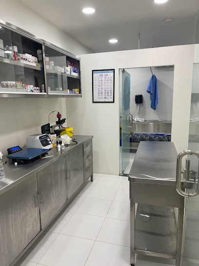 عيادة الرعاية الأساسية - Saudi Arabia|Dhahran 34257|Aljamiah District|8204 Ibn Batuta Street