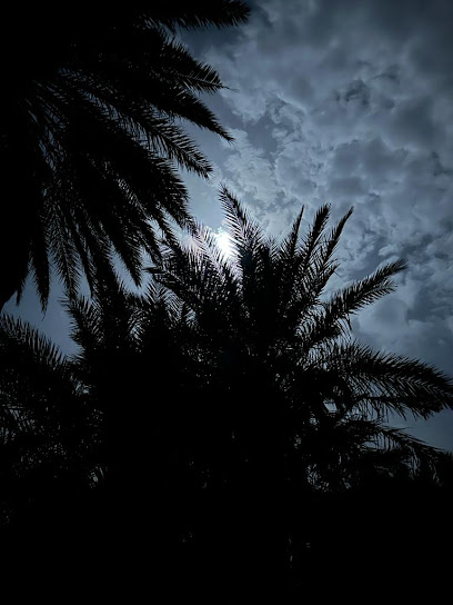 مزرعة الشيخ حباب عنيزان الجعثوني رحمه الله - Saudi Arabia|تربه 29764|TTPA6616، 6616|3919 الشريف حسن بن أبي نمي