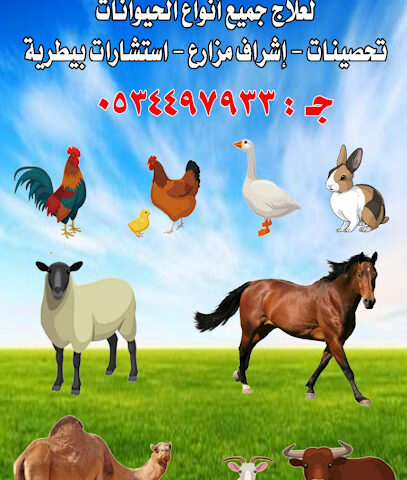 البستان البيطري - الفويلق - +966 53 449 7933