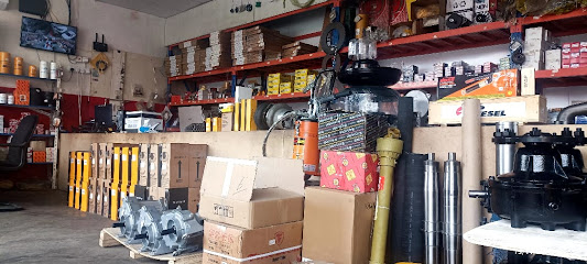 شركة أساسيات التنمية للزراعة والتجارة -  - +966 55 815 1554