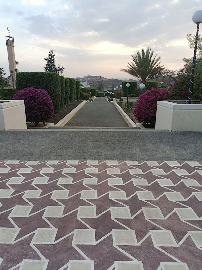 مشتل رووز للزراعة -