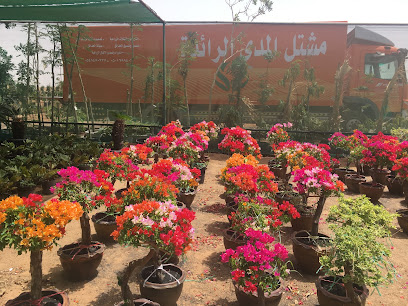 حضانة المدى الرائده مشتل المدى الرائده - ذهبان - +966 54 149 0337