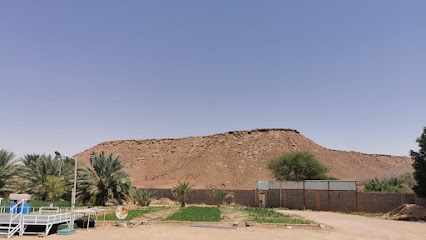 ضلع ال موسى - مارات -