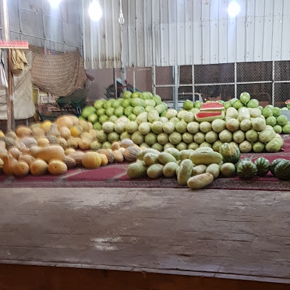 ابو فيصل لبيع الحبحب والقرعيات - المدينة المنورة -