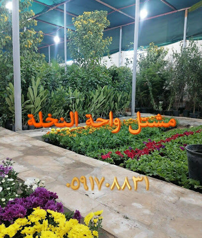حضانة واحة النخيل - حفر الباطن - +966 59 170 8831