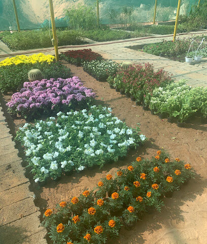 مشتل عبق الحديقة - بريدة - +966 57 824 6930