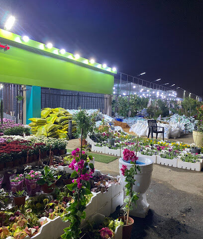مشتل بروق المواسم - سيهات - +966 56 997 0736