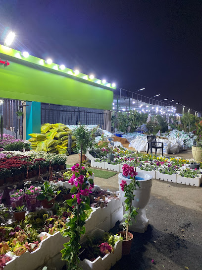 مشتل بروق المواسم - Saudi Arabia|Saihat 32461،|3702 طريق الظهران الجبيل السريع، 6624،