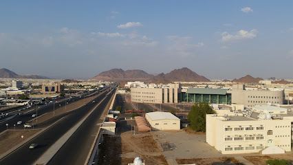 جامعة طيبة (السنة التحضيرية) - المدينة المنورة -