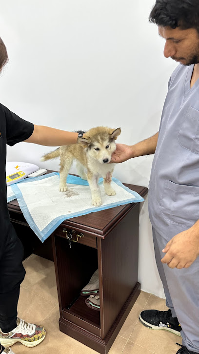 عيادة كيا البيطرية - Saudi Arabia|Riyadh 12245|As Sulimaniyah|Al Urubah Rd