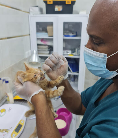 مركز أطباء العصر البيطري للرعاية الاولية - المدينة المنورة - +966 57 056 1176