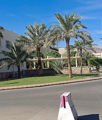 الجامعة الإسلامية - المدينة المنورة -