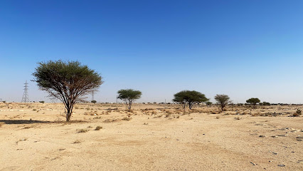شعيّب الهيضل - الدوادمي -