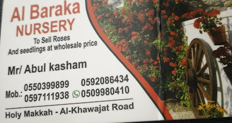 مشتل البركة بالجملة - مكة المكرمة - +966 55 039 9899