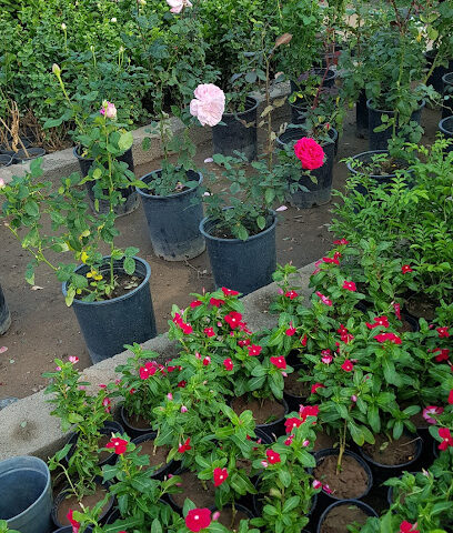 نمارك - ينبع - +966 57 012 9901