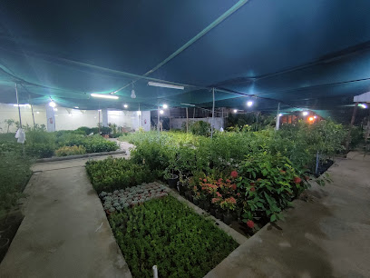 مشتل جهاد الزراعي - ينبع - +966 56 260 9689