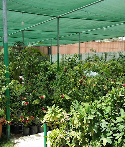 مشتل البستان - جدة - +966 58 137 5400