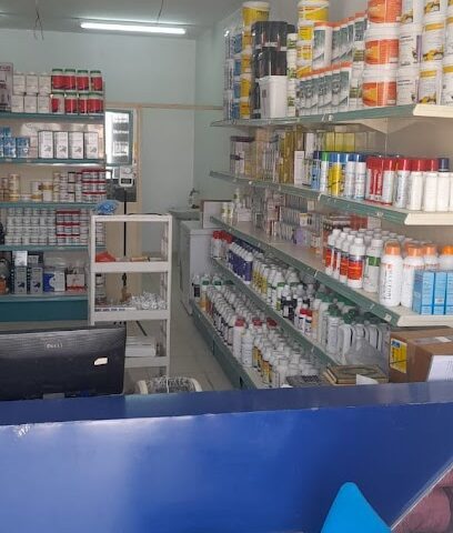 العيادة البيطرية - الفويلق - +966 53 389 9803
