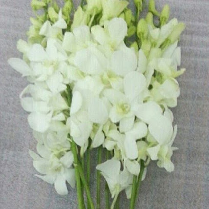 رومنس روز - نجران - +966 50 818 0813
