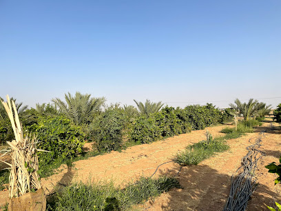 مزرعة عاليات القصيم - عيون الجواء - +966 50 571 0123