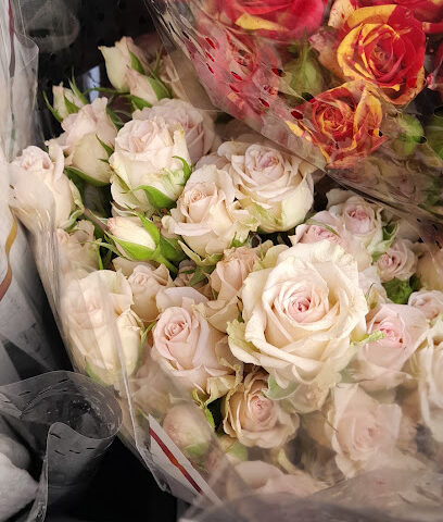 مستودع ساراجول للزهور الطبيعية - الطائف - +966 50 304 0176