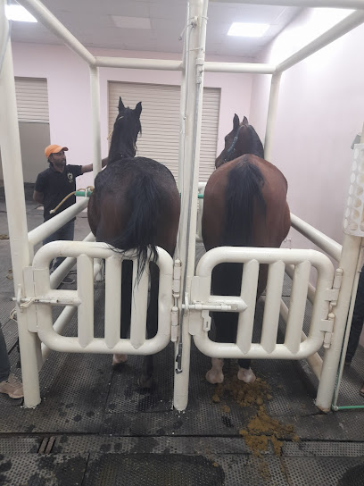مركز استنساخ الذهب - Saudi Arabia|Riyadh 13635|Ash Sharq|Aljandriyah Stables