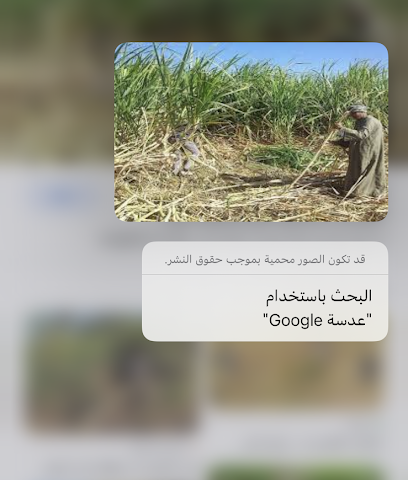 مزرعة واستراحة سلطان معشي - قرية امال نور -