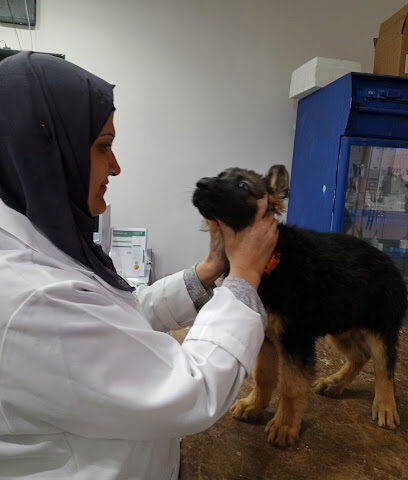 العروض البيطرية. (للحيوانات الأليفة). - بريدة - +966 58 156 7040