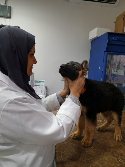 العروض البيطرية. (للحيوانات الأليفة). - Buraydah 52383
