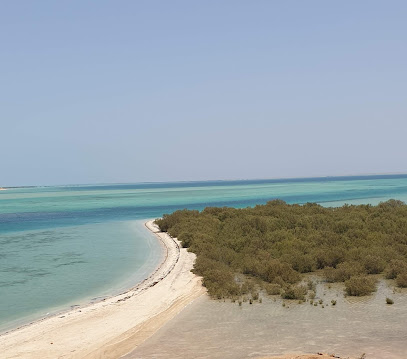 محمية جزيرة فرسان البحرية - صير - +966 11 441 8700