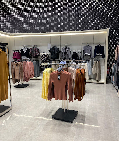 سنبل - سنبل - يشيد - +966 53 000 3632