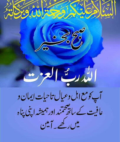 دِين -  - +966 57 168 1148