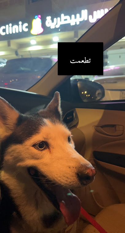عيادة بيل البيطرية - Saudi Arabia|Riyadh 13335|Al Aarid|خيبر
